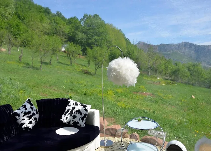 Sineva Kemping Vraca